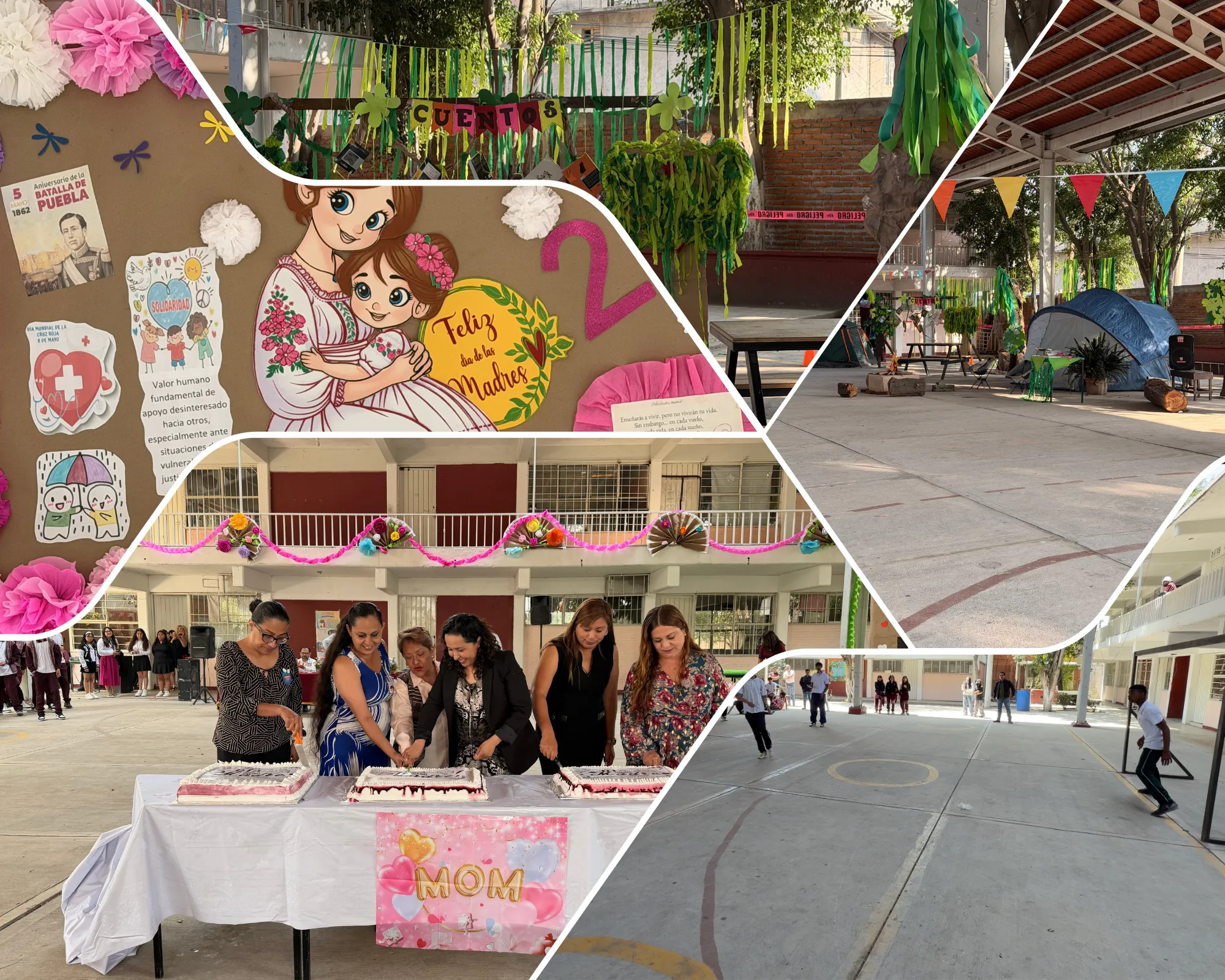 Actividades culturales